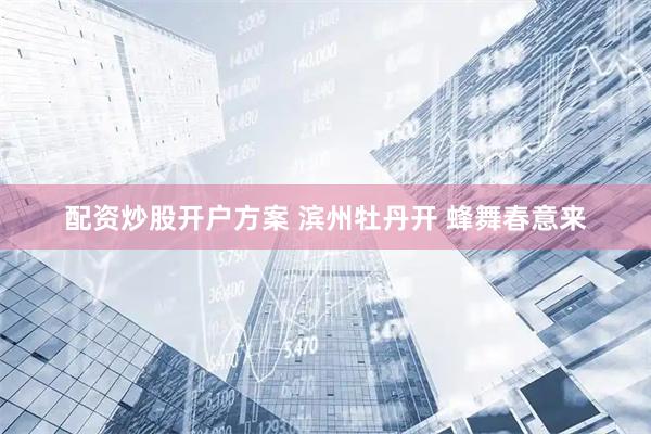 配资炒股开户方案 滨州牡丹开 蜂舞春意来