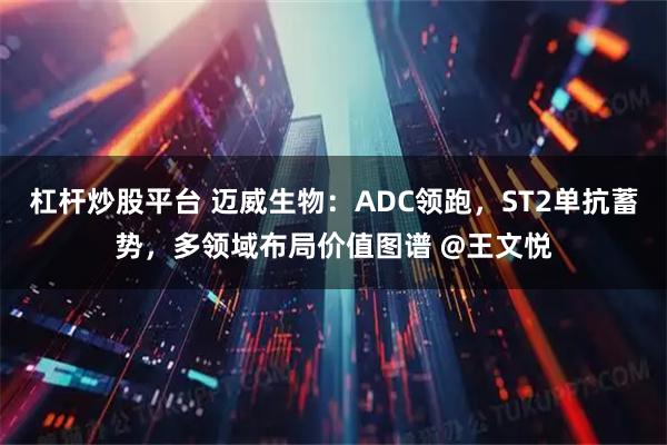 杠杆炒股平台 迈威生物：ADC领跑，ST2单抗蓄势，多领域布局价值图谱 @王文悦