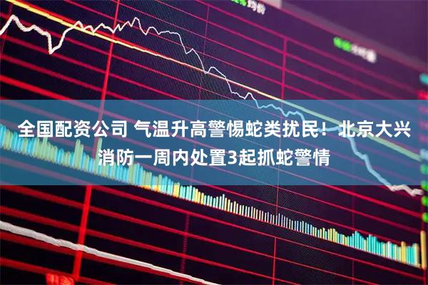 全国配资公司 气温升高警惕蛇类扰民!北京大兴消防一周内处置3起抓蛇警情