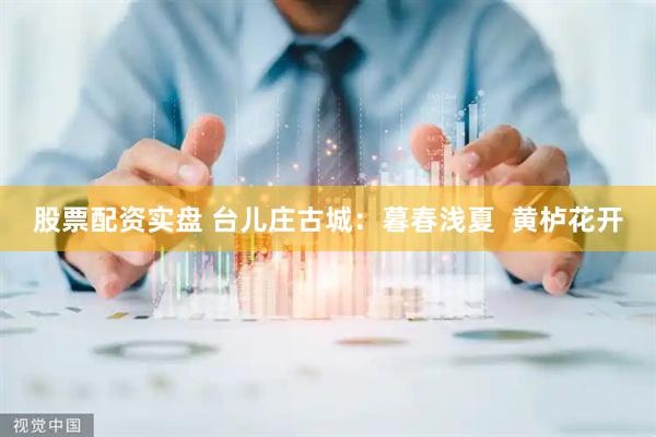 股票配资实盘 台儿庄古城：暮春浅夏  黄栌花开