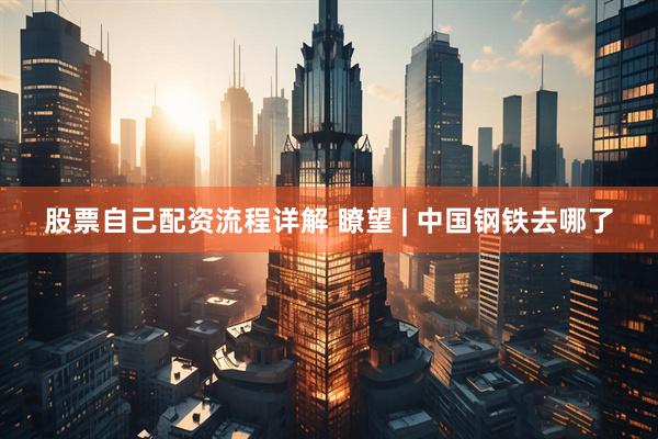 股票自己配资流程详解 瞭望 | 中国钢铁去哪了
